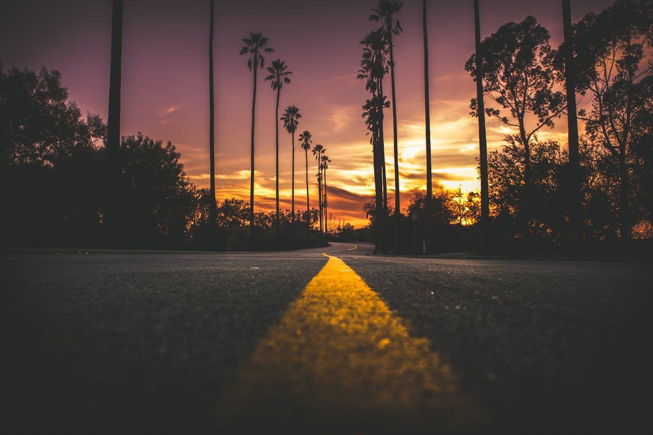 Route au milieu des palmiers au coucher de soleil