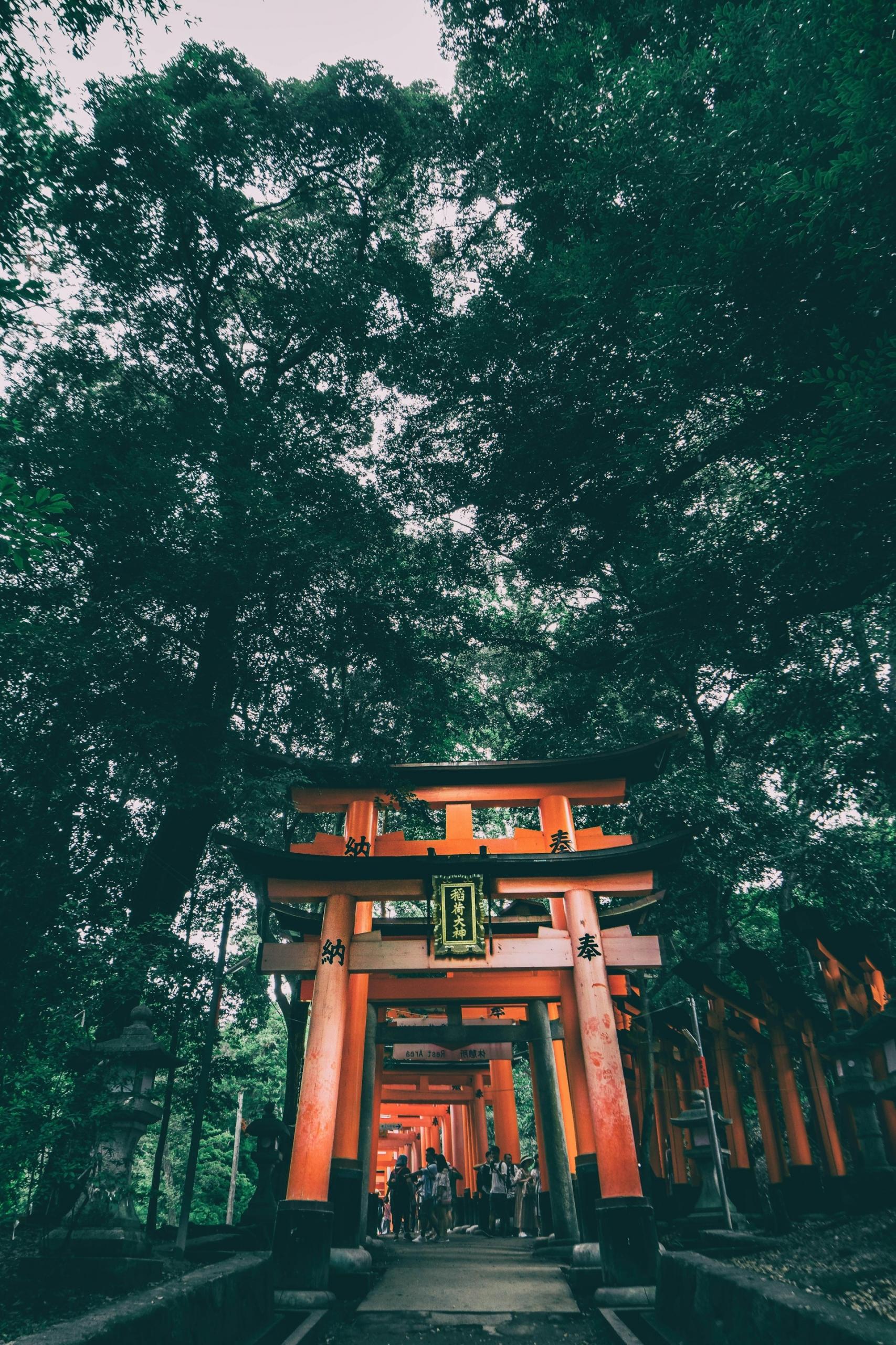 Temple japonais dans une forêt dense 