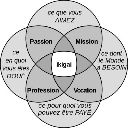 Représentation théorique de l'Ikigai japonais 