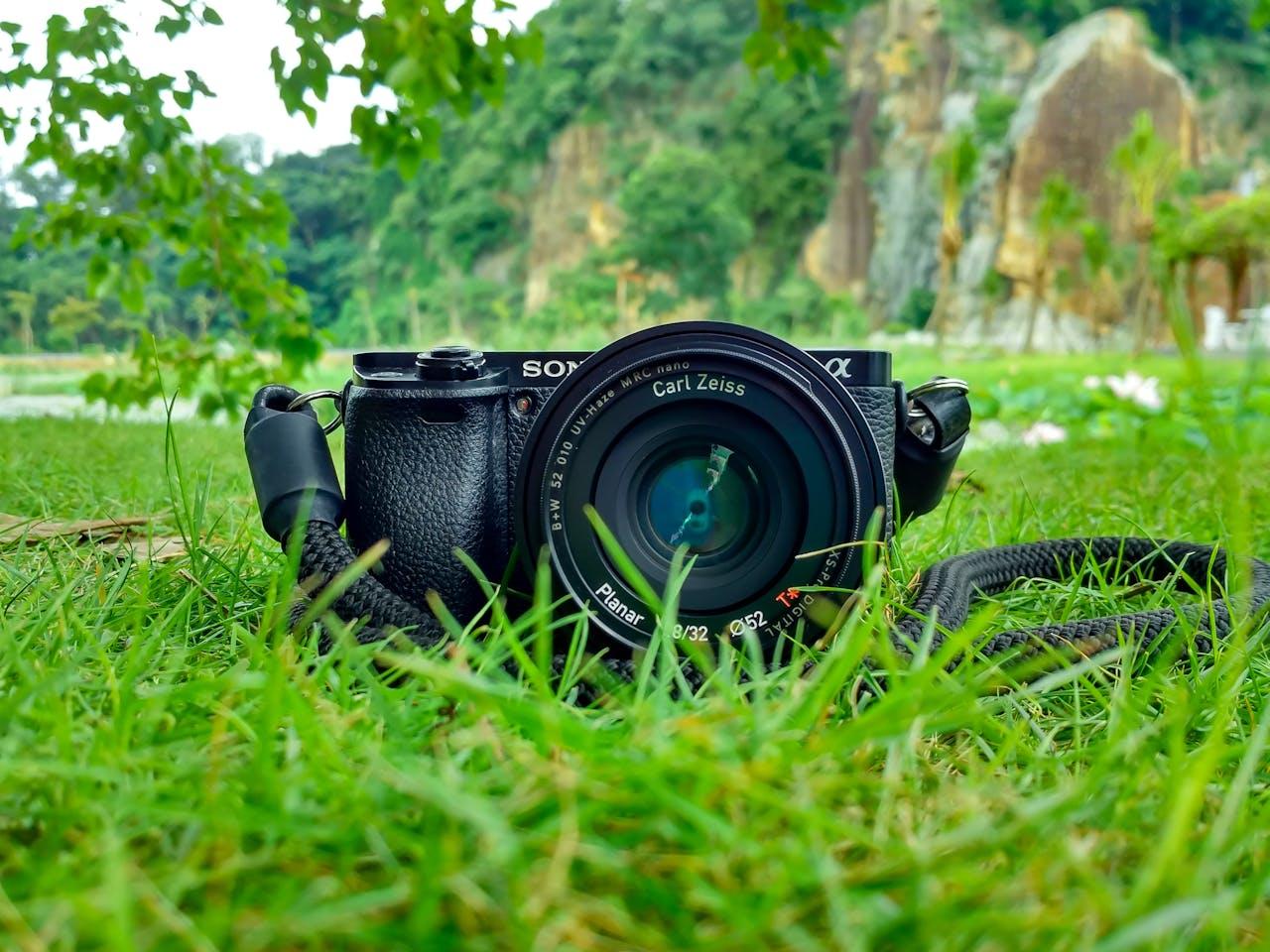 Appareil photo reflex posé dans l'herbe verte.