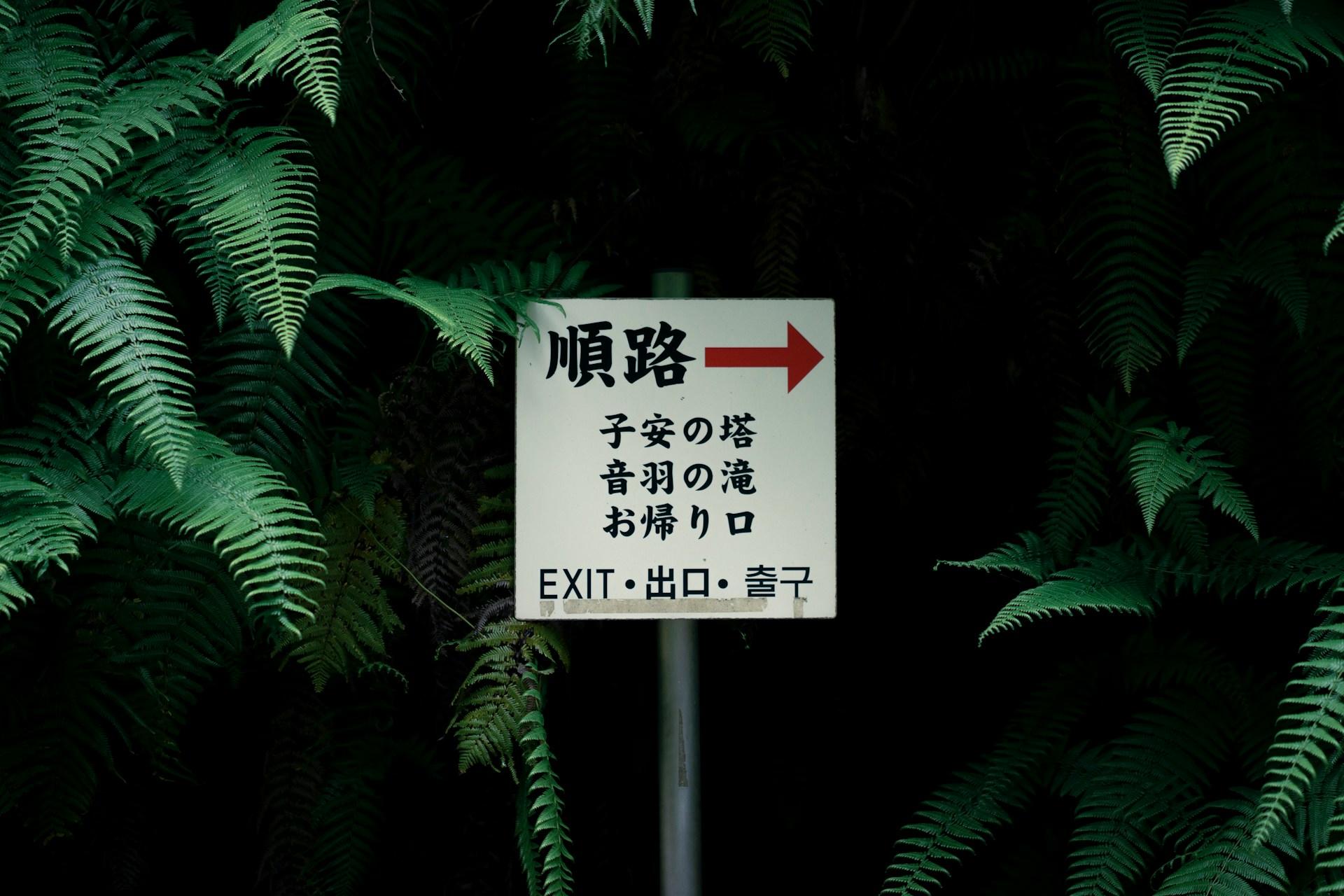 Panneau de direction au sein d'une forêt japonaise