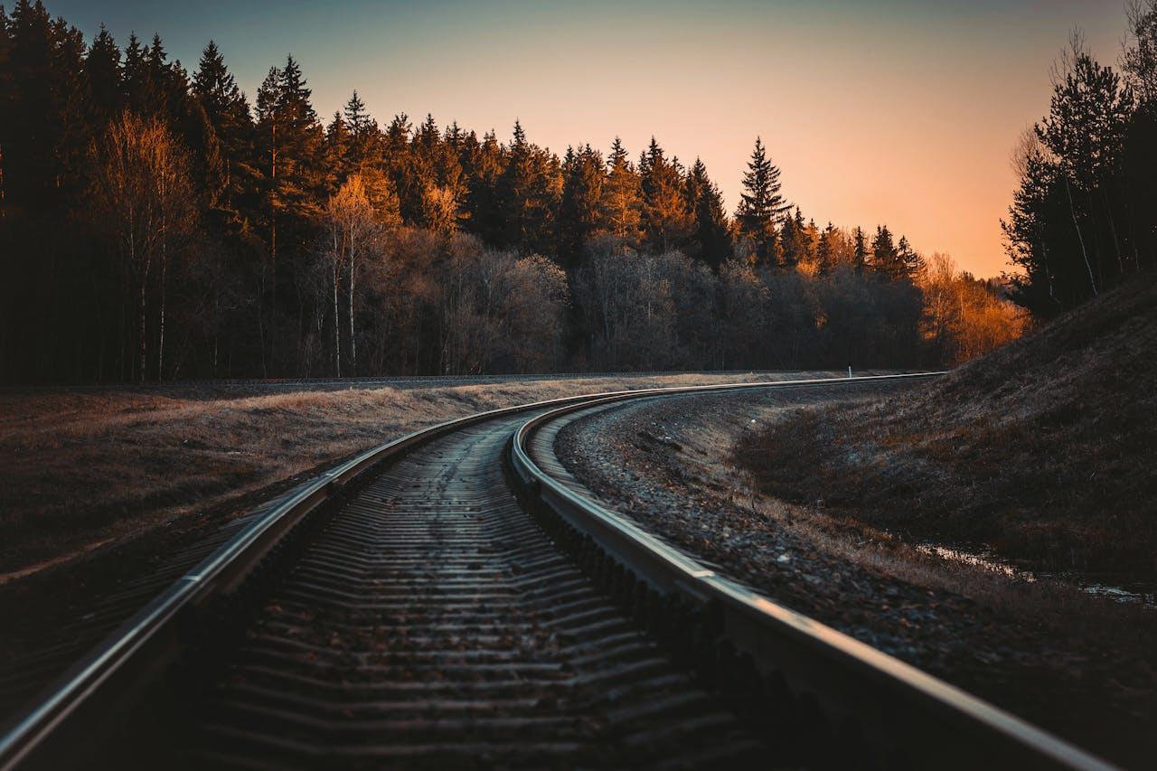 Rails au milieu des sapins.