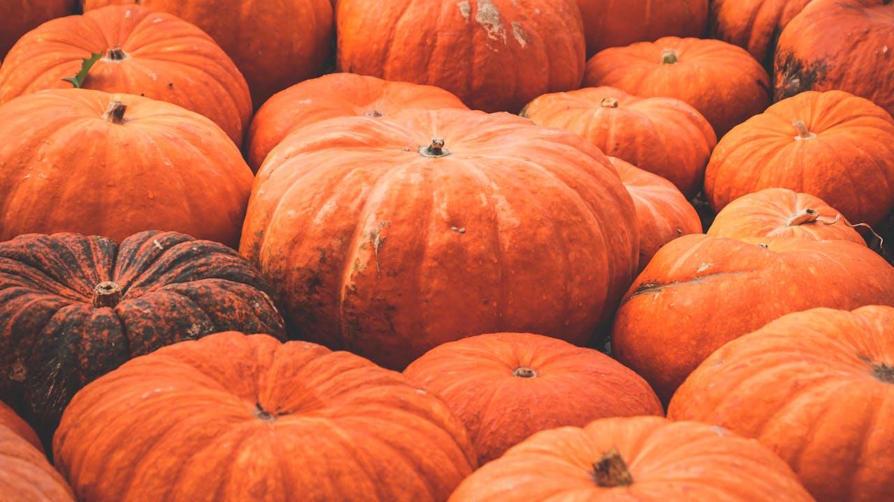 Citrouilles en gros plan