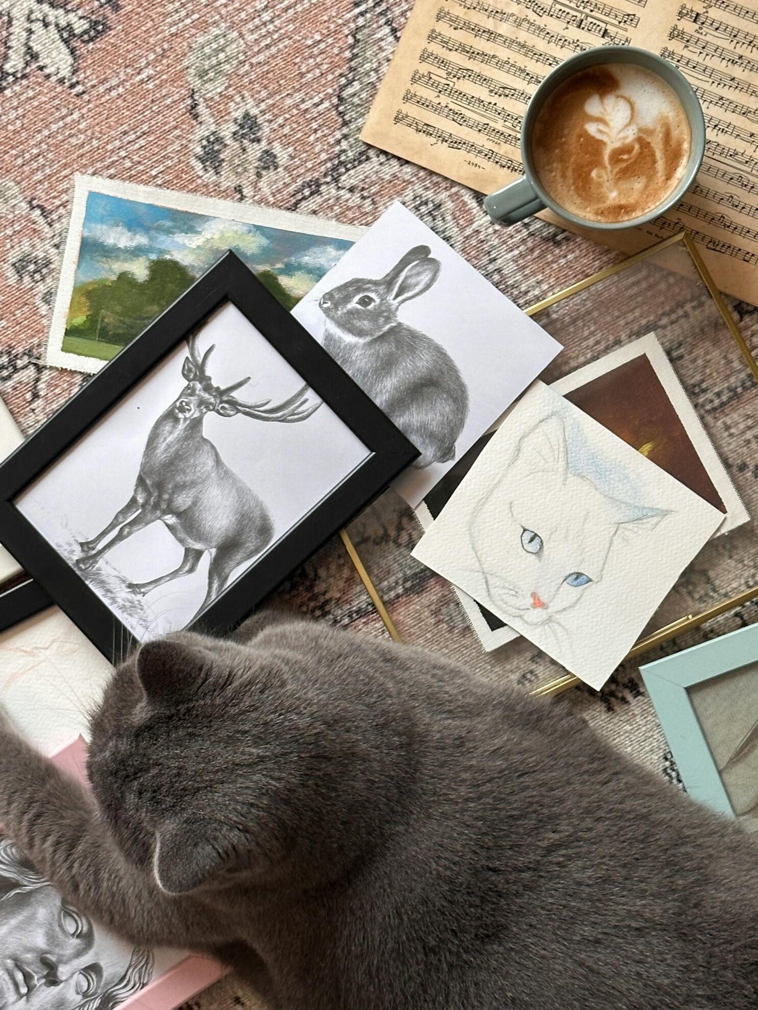 Différents dessins d'animaux au crayon.