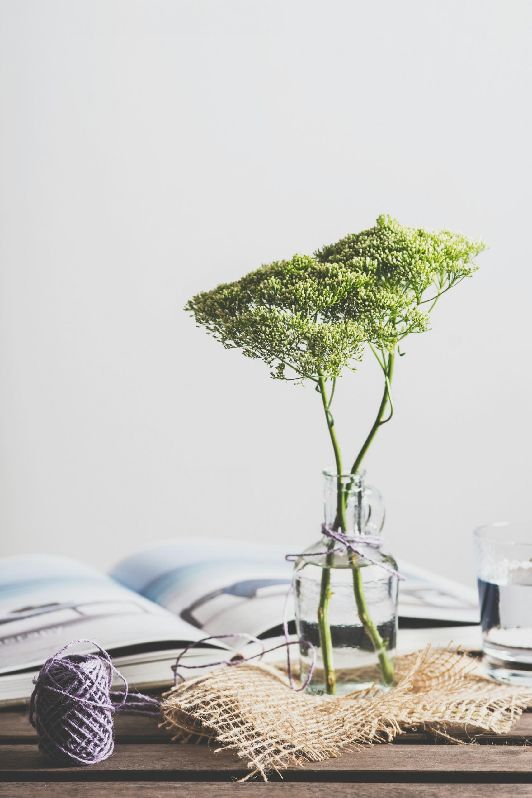 arbre japonais dans un vase sur une table 