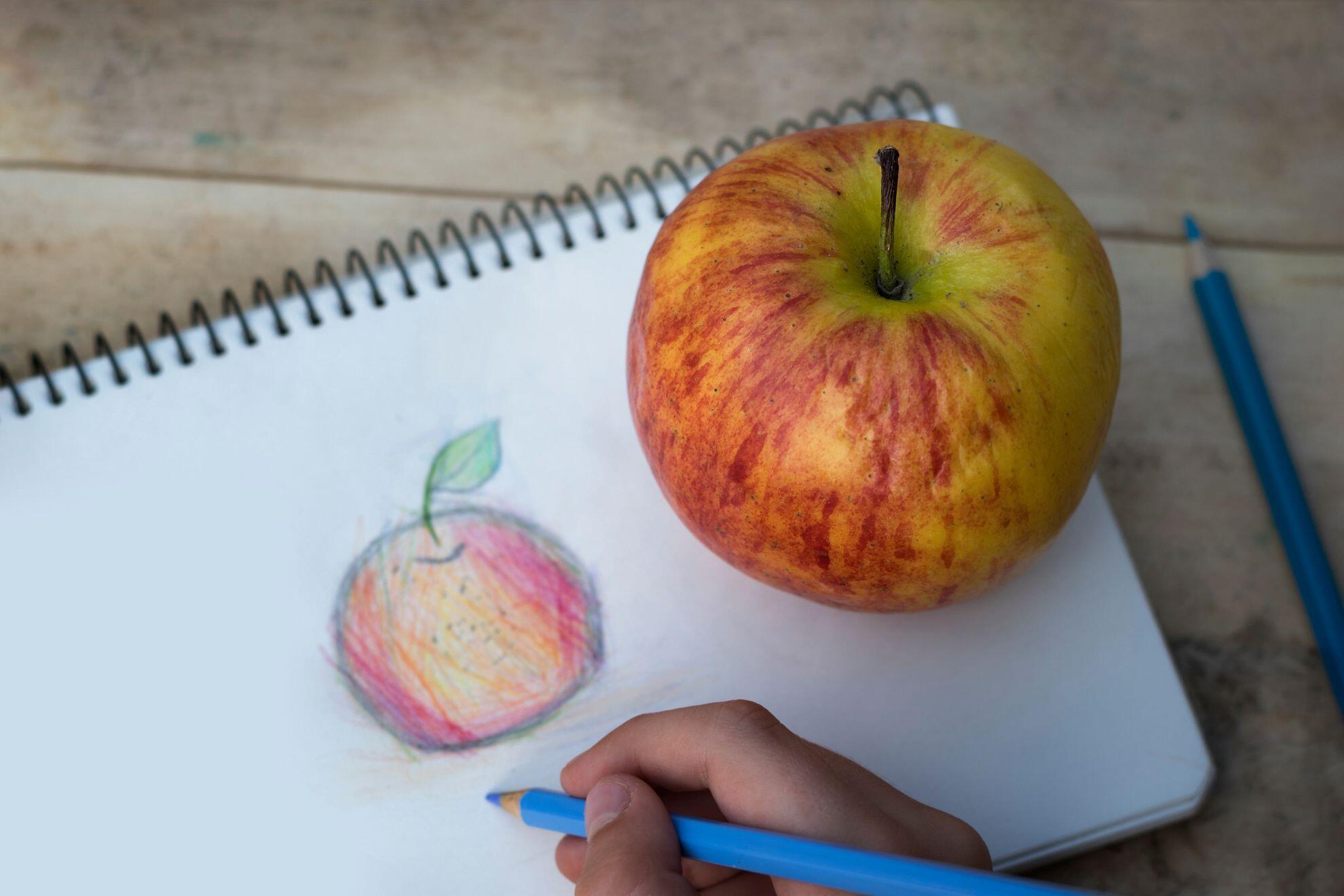 Un enfant en train de dessiner une pomme.
