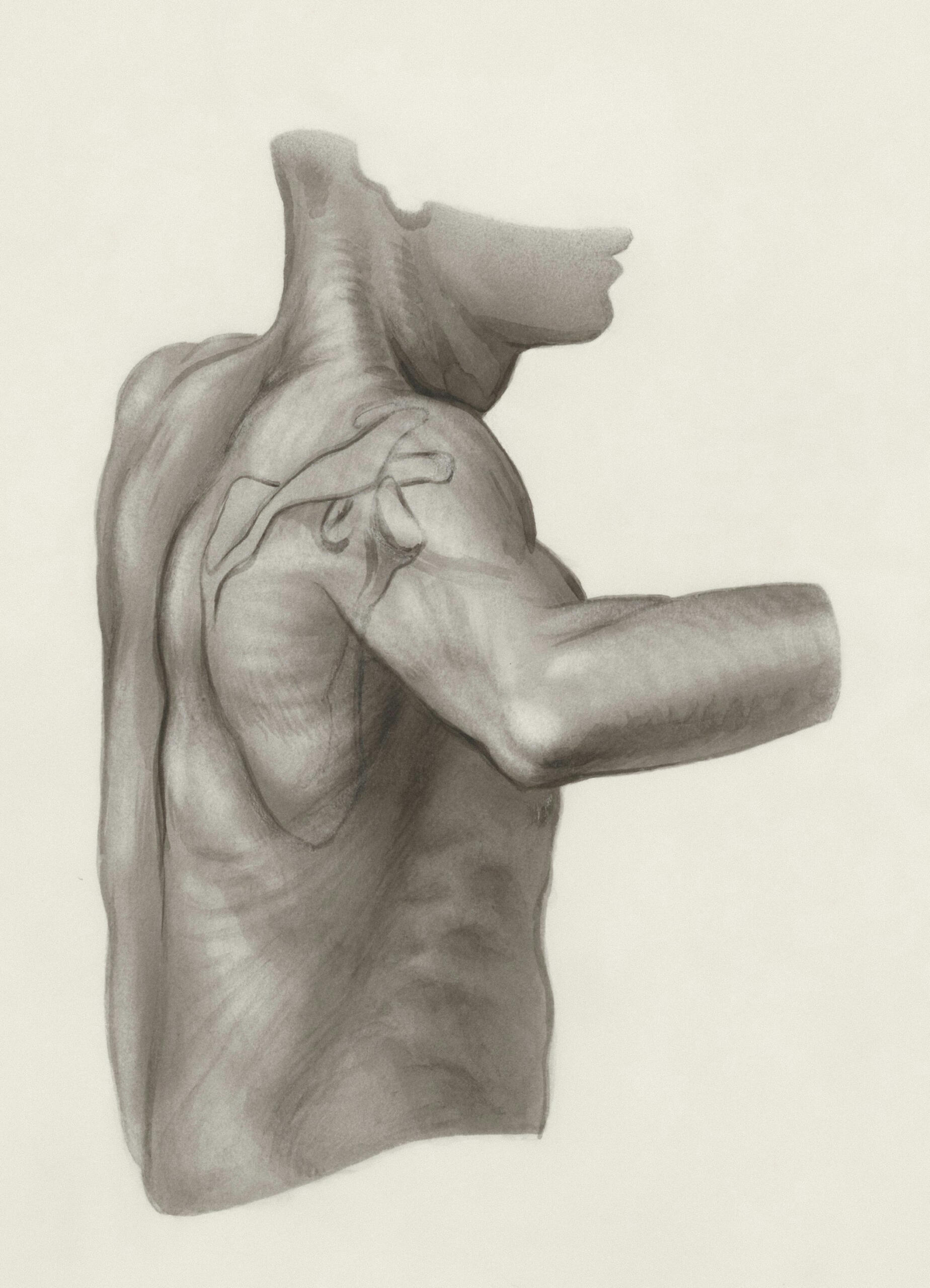 Un dessin de dos.