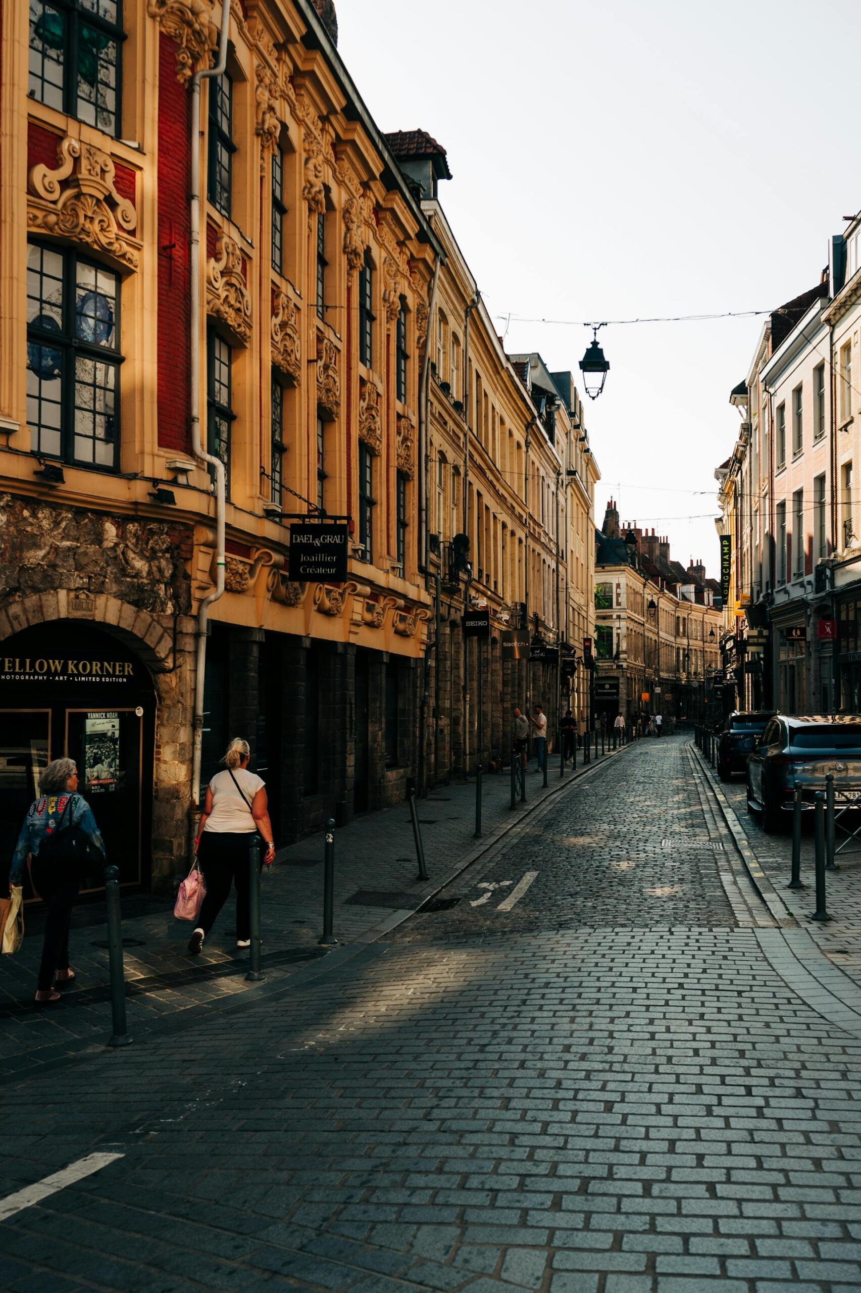 Photo des environs de Lille avec un bâtiment doré