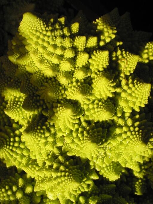 chou romanesco avec un effet de lumière