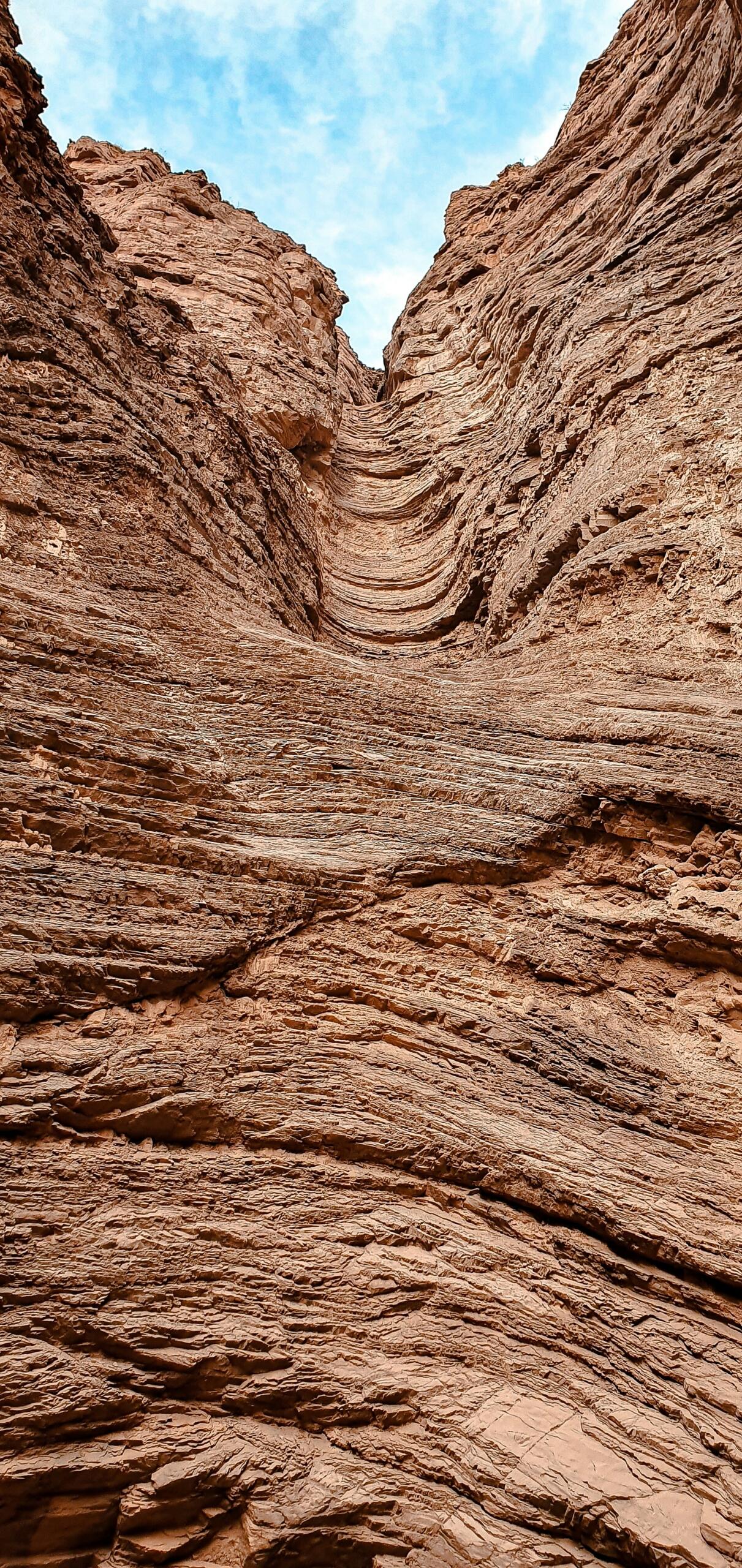 Représentation naturelle des fractales dans la nature 