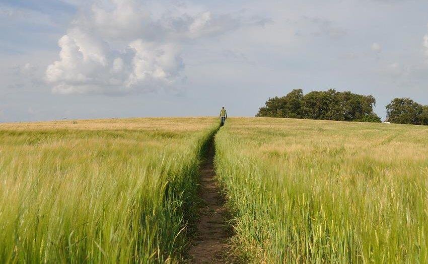 Personne dans une prairie avec une vue vers l'infini