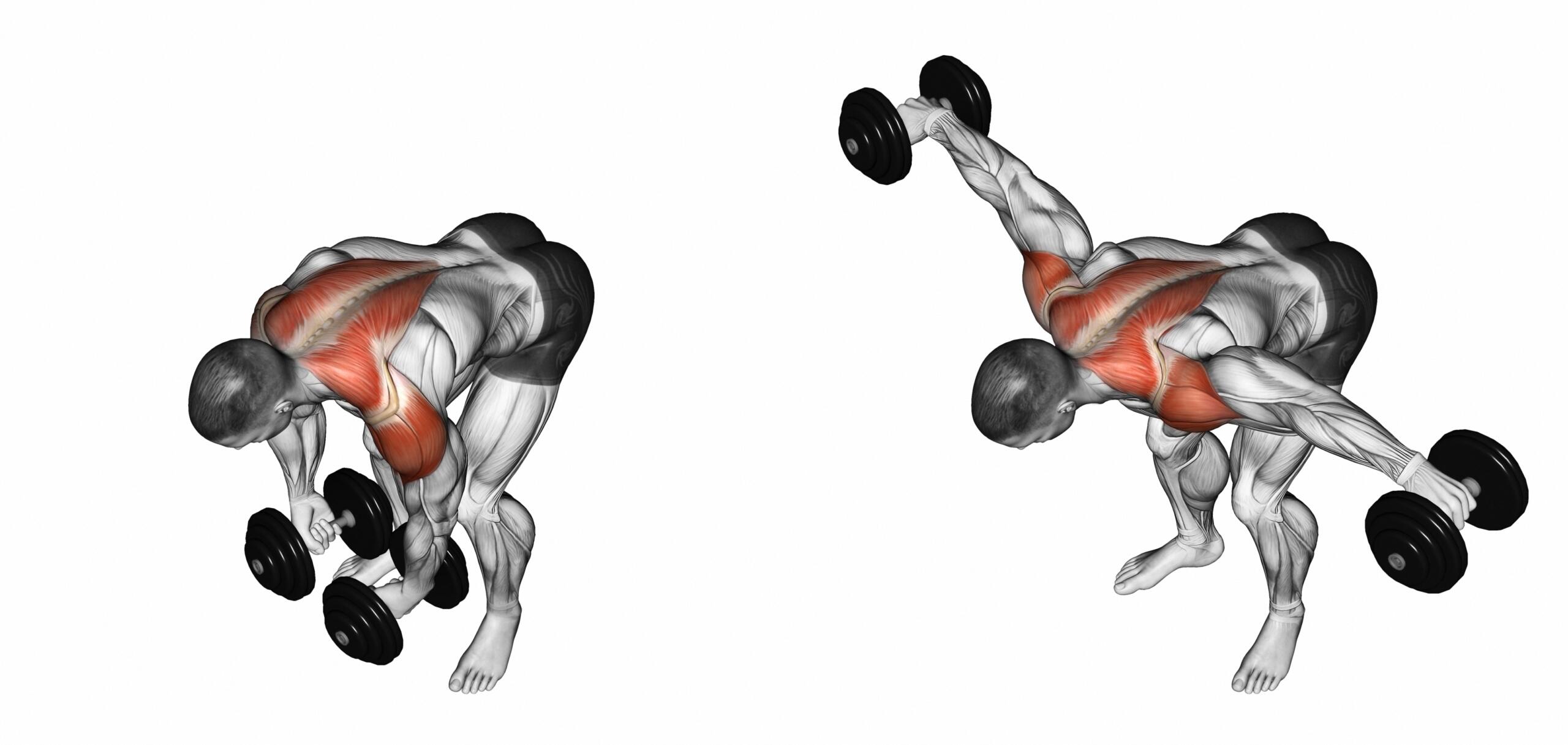 illustration d'un homme en train de soulever des poids dans la posture de l'oiseau ou reverse fly