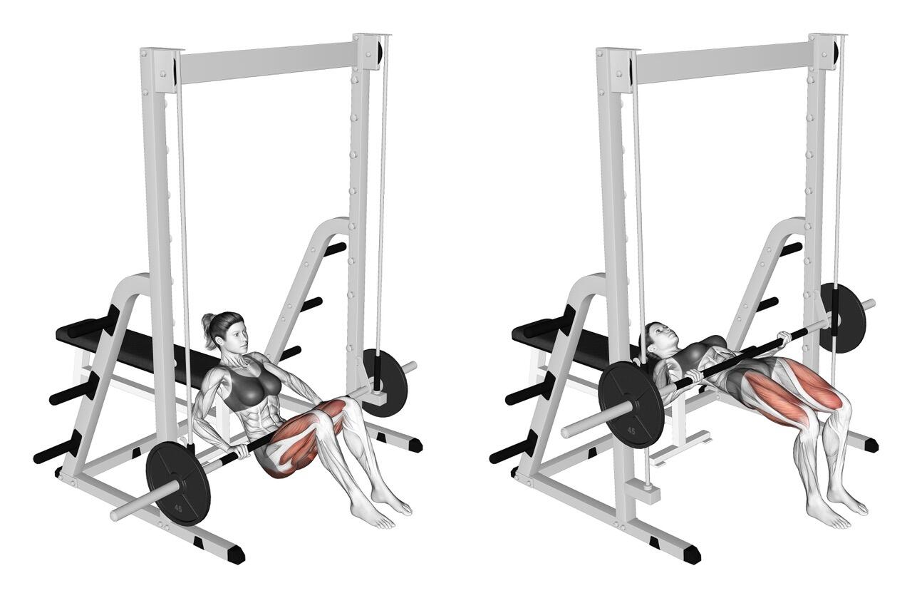 Schéma expliquant la réalisation du hip thrust à la machine.