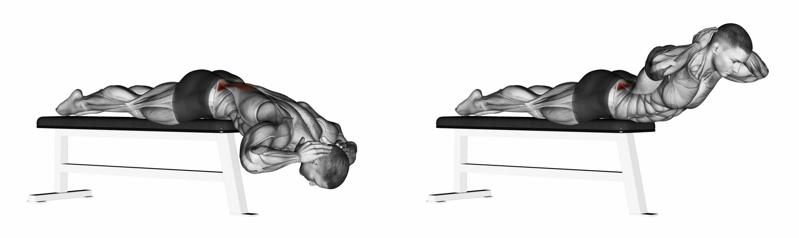 dessin d'homme qui muscle le bas du dos