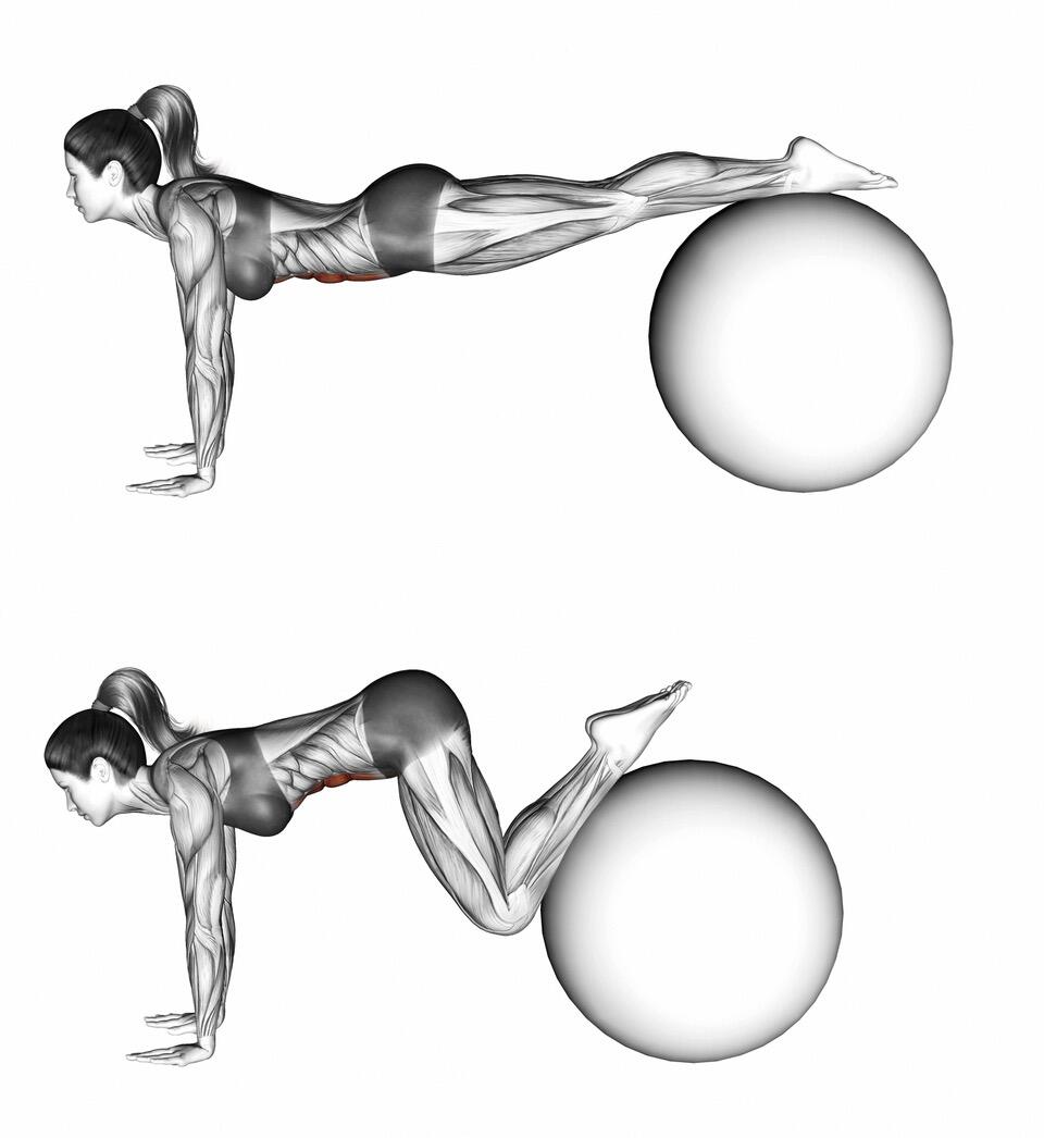 Schéma d'une femme effectuant une planche sur ballon