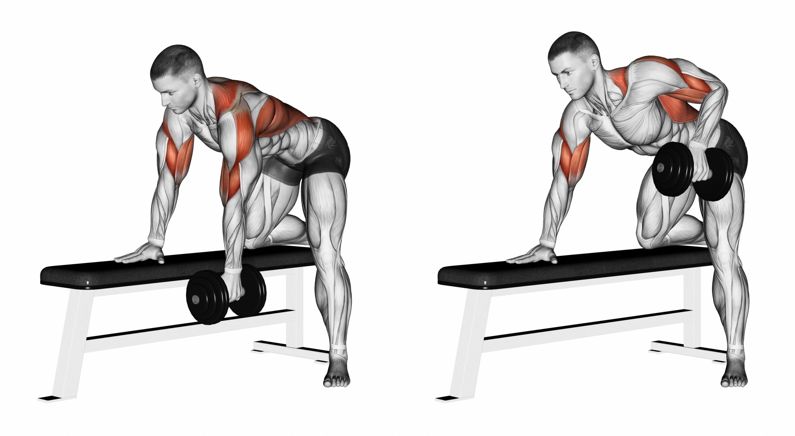dessin d'un homme qui pérforme un exercice de rowing à un bras