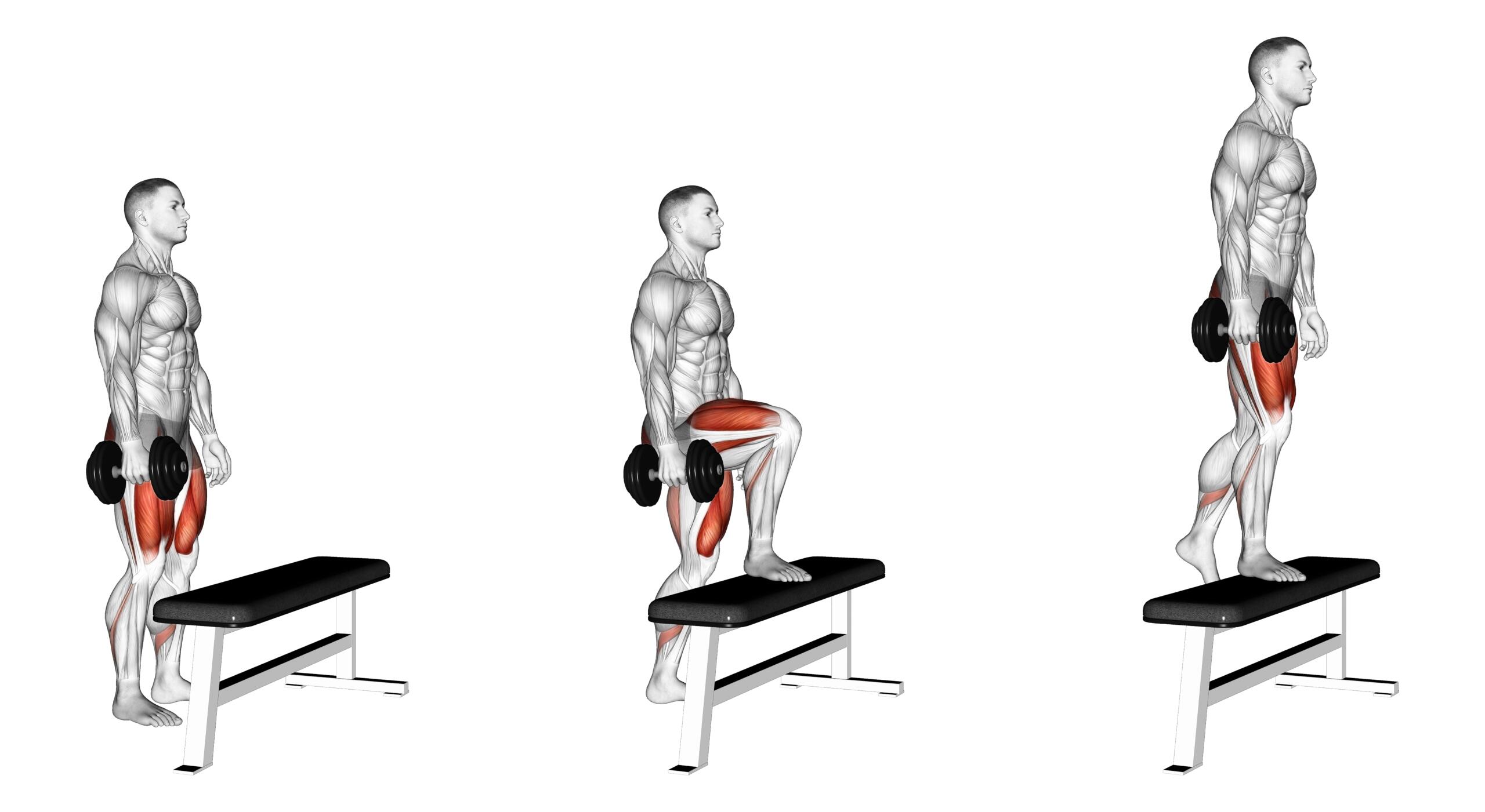 Schéma d'un homme réalisant un step up sur un banc de musculation avec un haltère. 