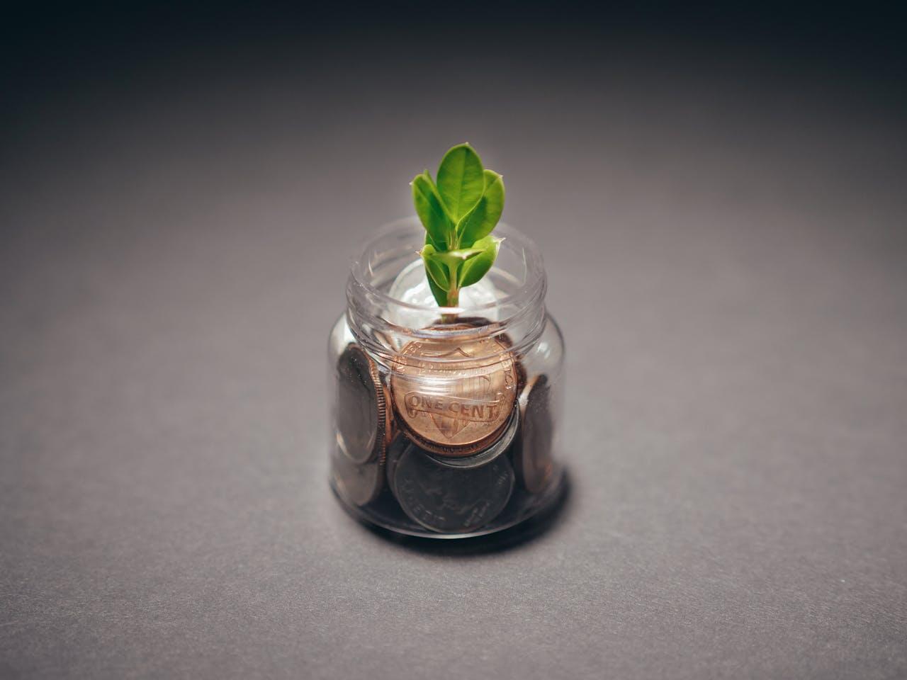 Petit pot en verre avec des pièces dedans et une pousse verte. 