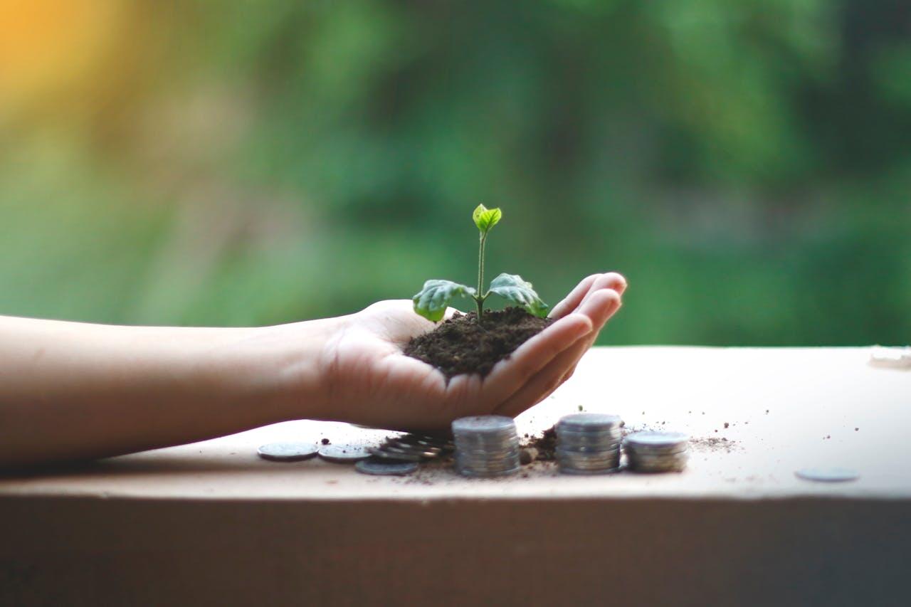 Main ouverte avec une poignée de terre et un plant qui pousse.