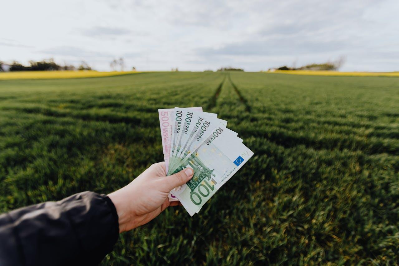 Main tendue avec des billets de 100 et de 500 € vers un champ vert.