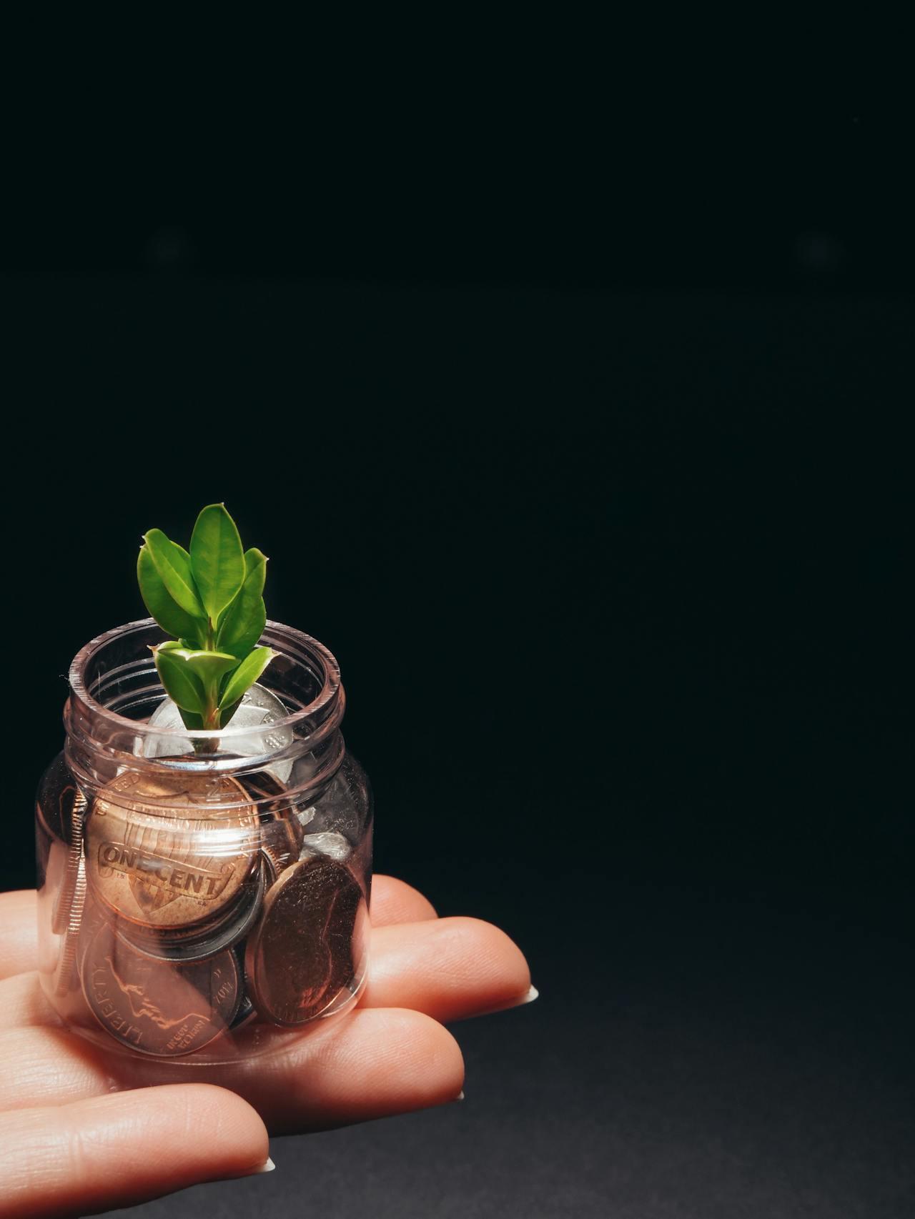 Petit pot de terre avec une plante sur des pièces et une main ouverte