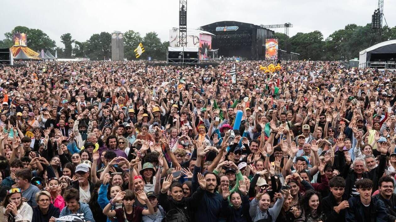 festivaliers dans une zone de concert des Vieilles Charrues