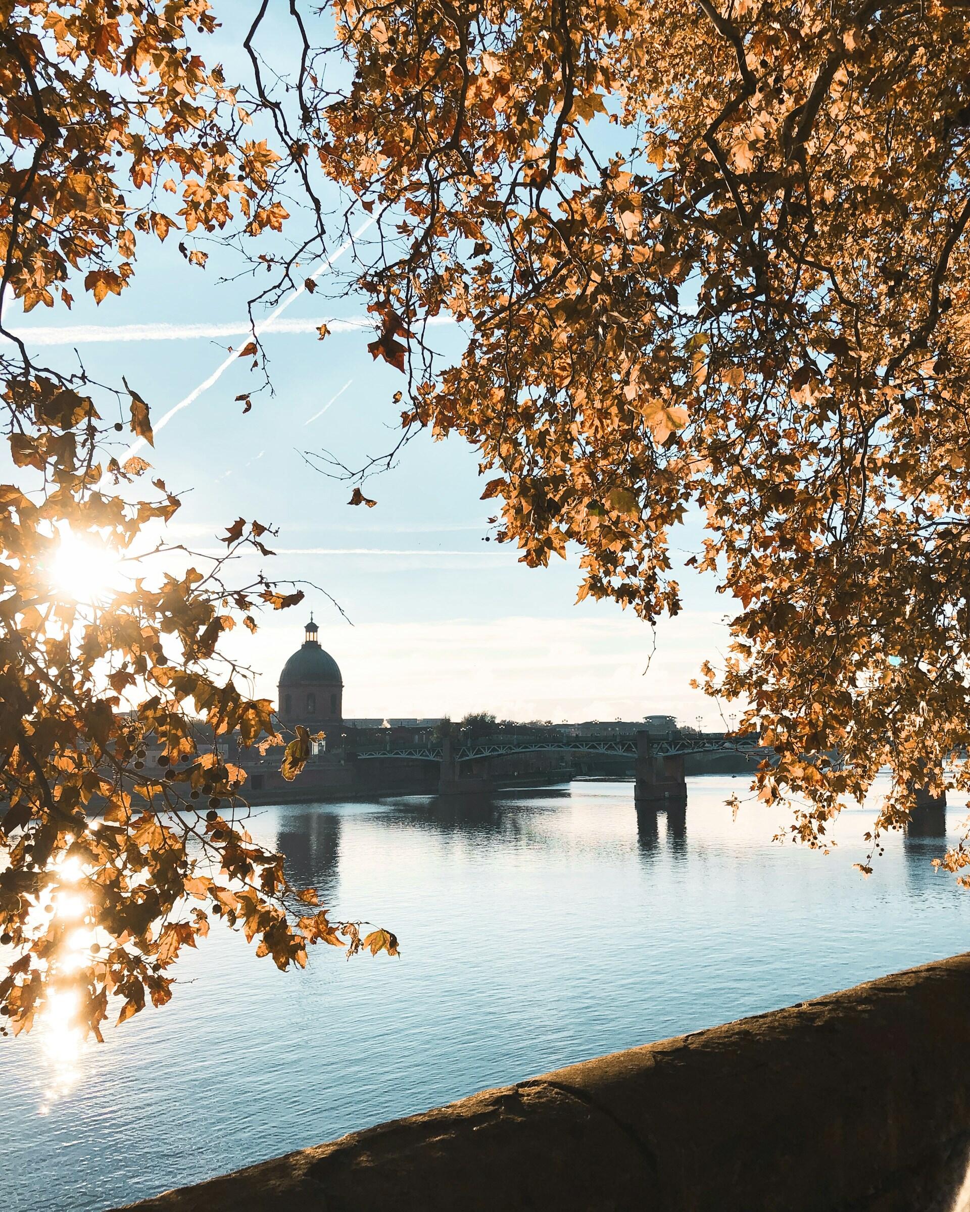 vue de Toulouse et la Garonne