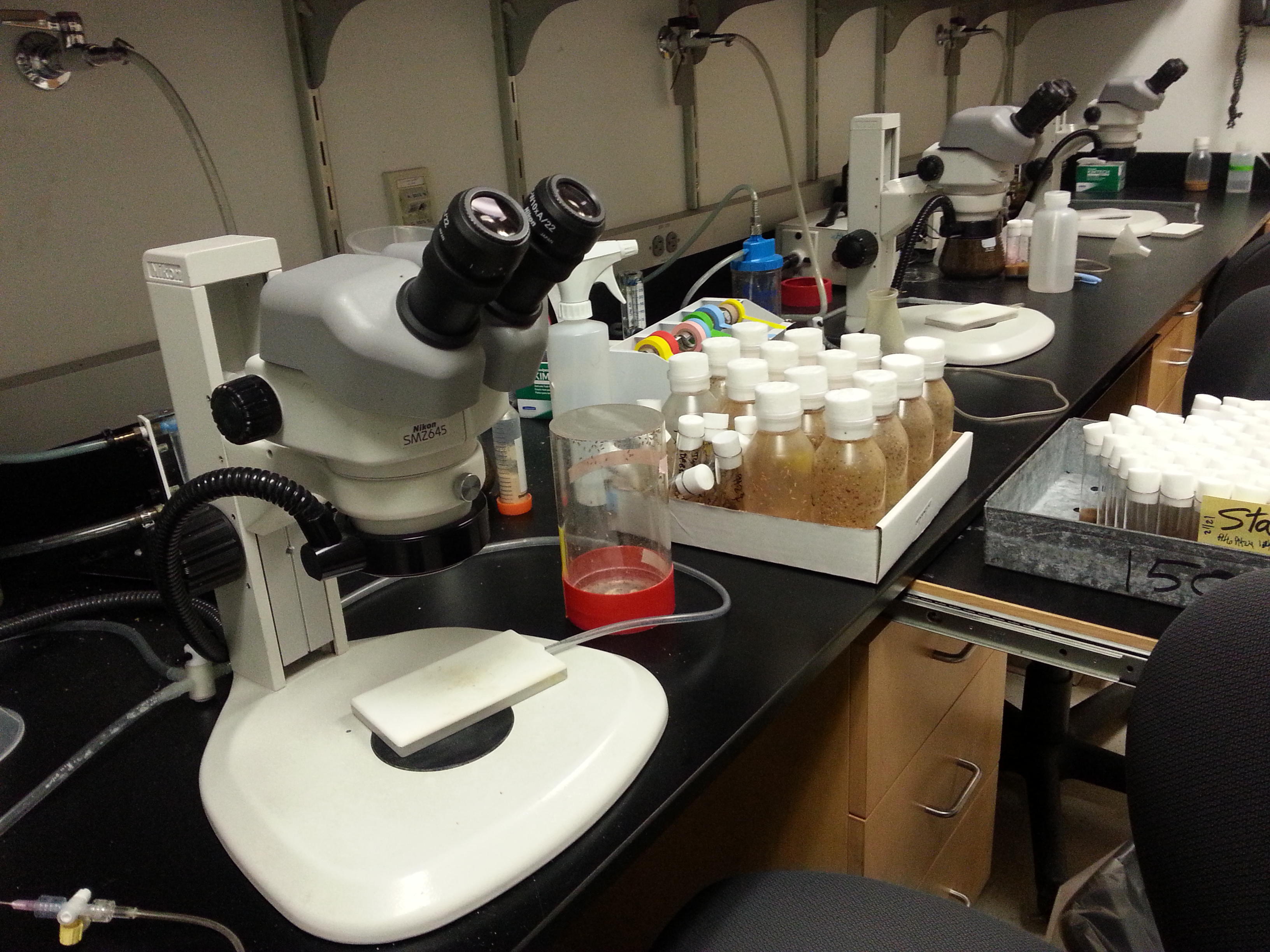 Can I charge more for private classes with science qualifications?