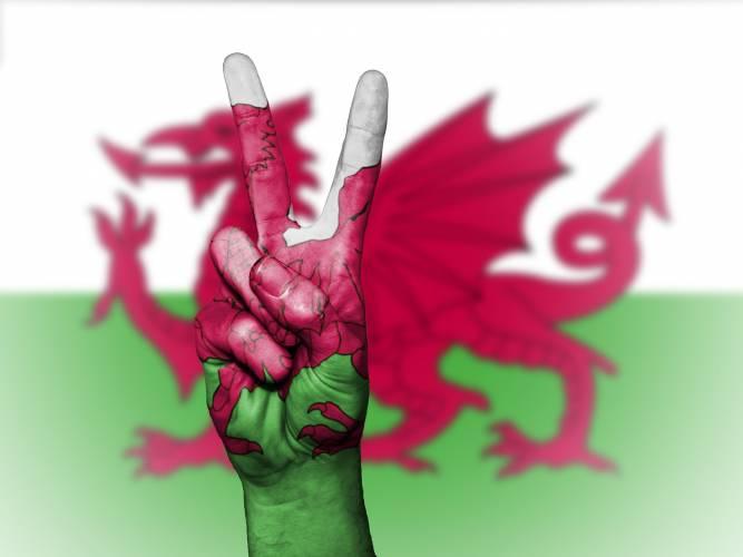 Why not start a home-tutor business in Cardiff?