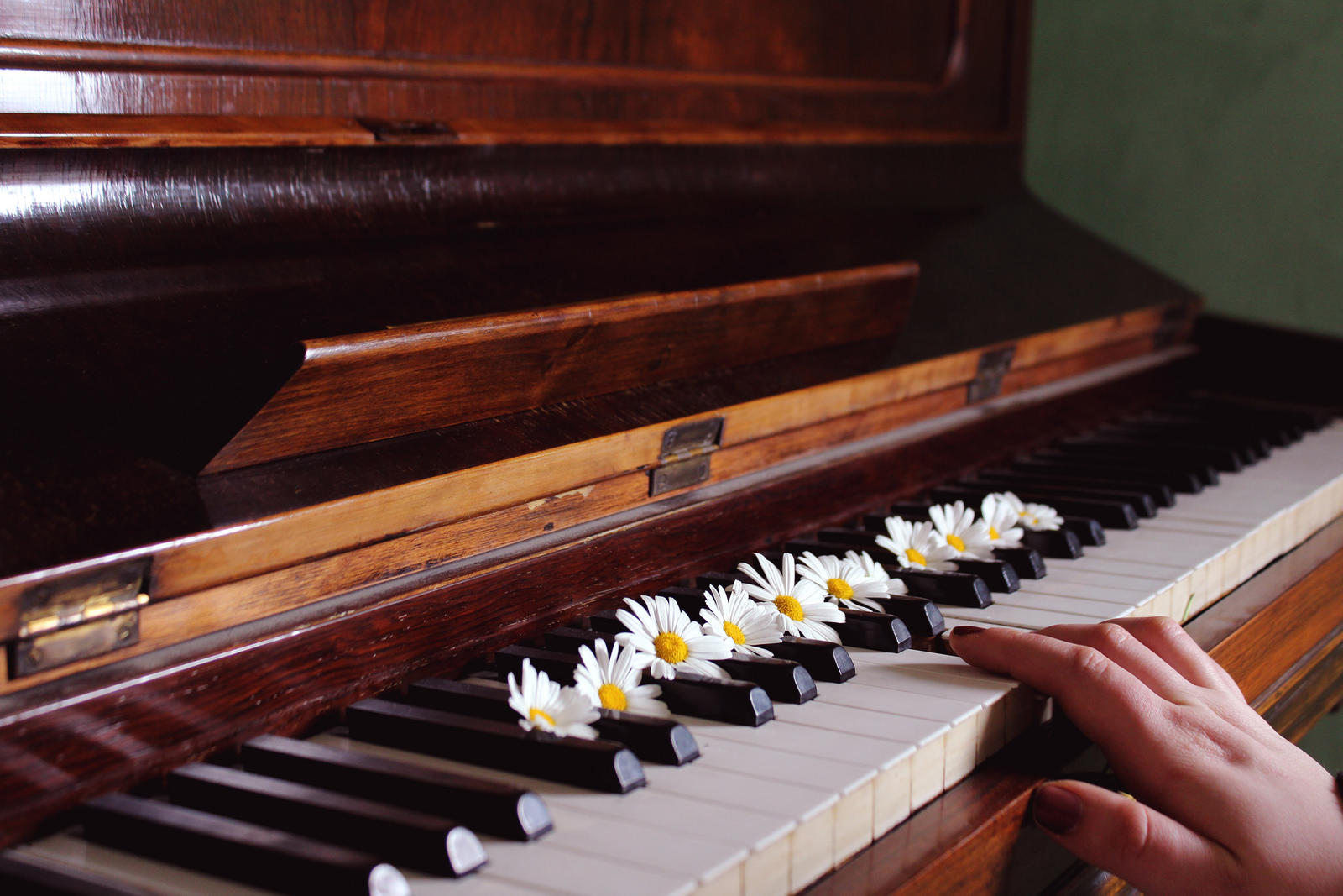 Online tutorials to learn many different styles and songs