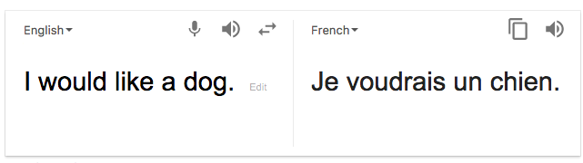 Use Google Translate as a tool to learn English! 