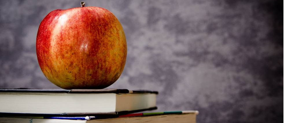 Online tuition is the perfect way of improving your level in the English language