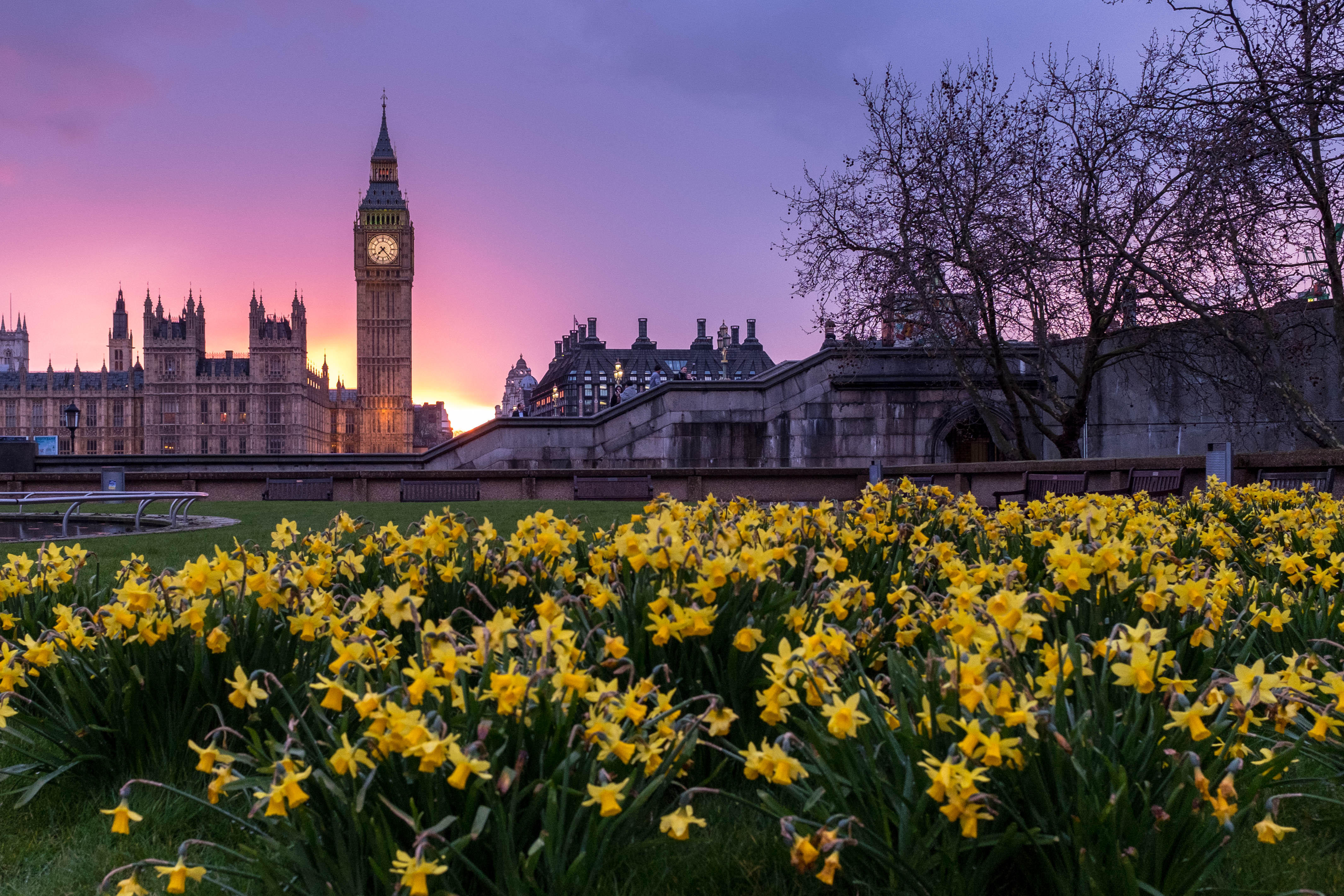 Where can I study in the UK?