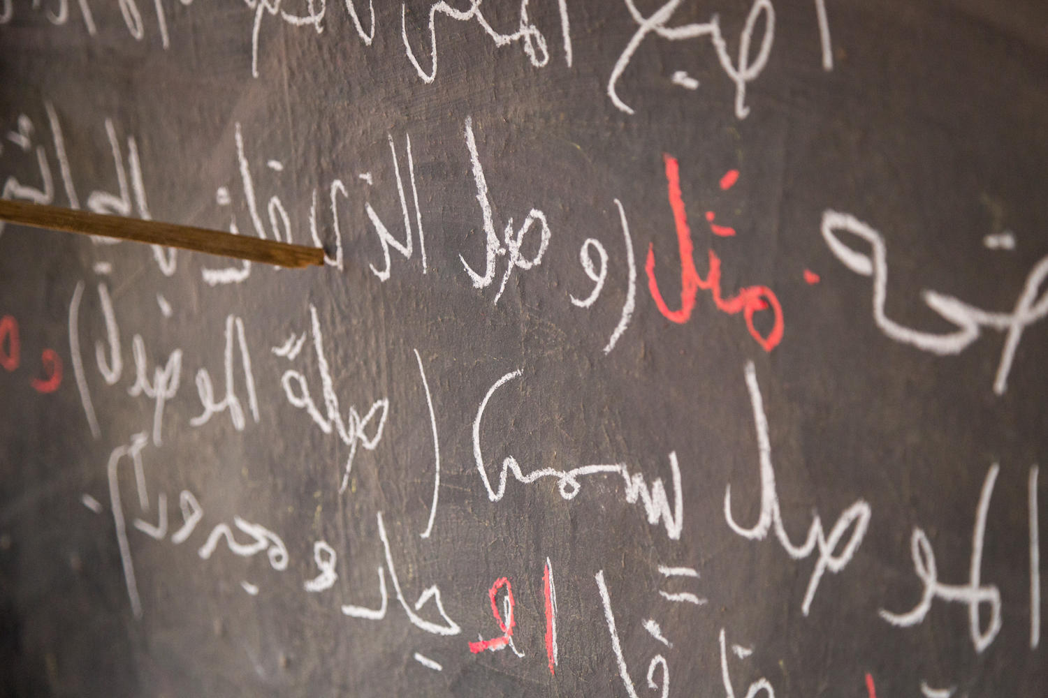 Learn what there is to know to become a professor in Arabic