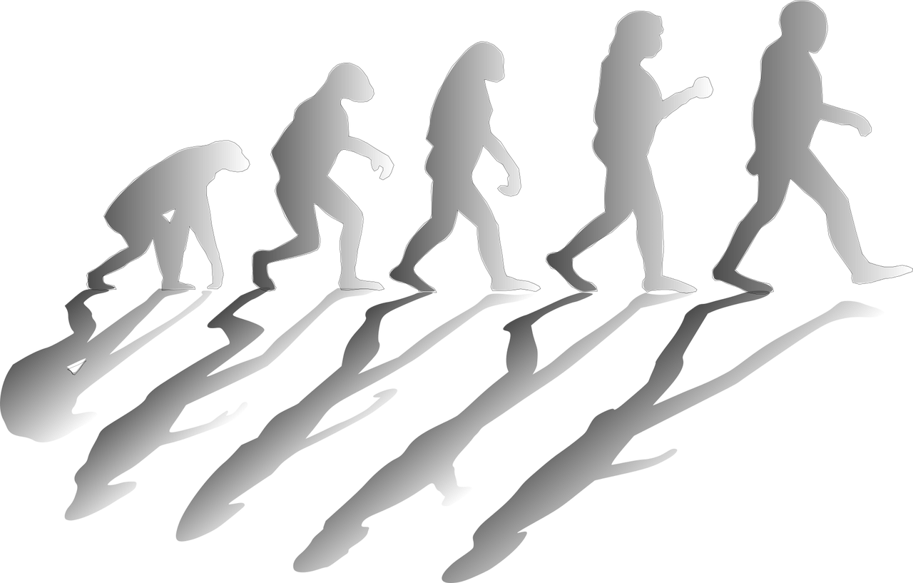Language evolution follows human change