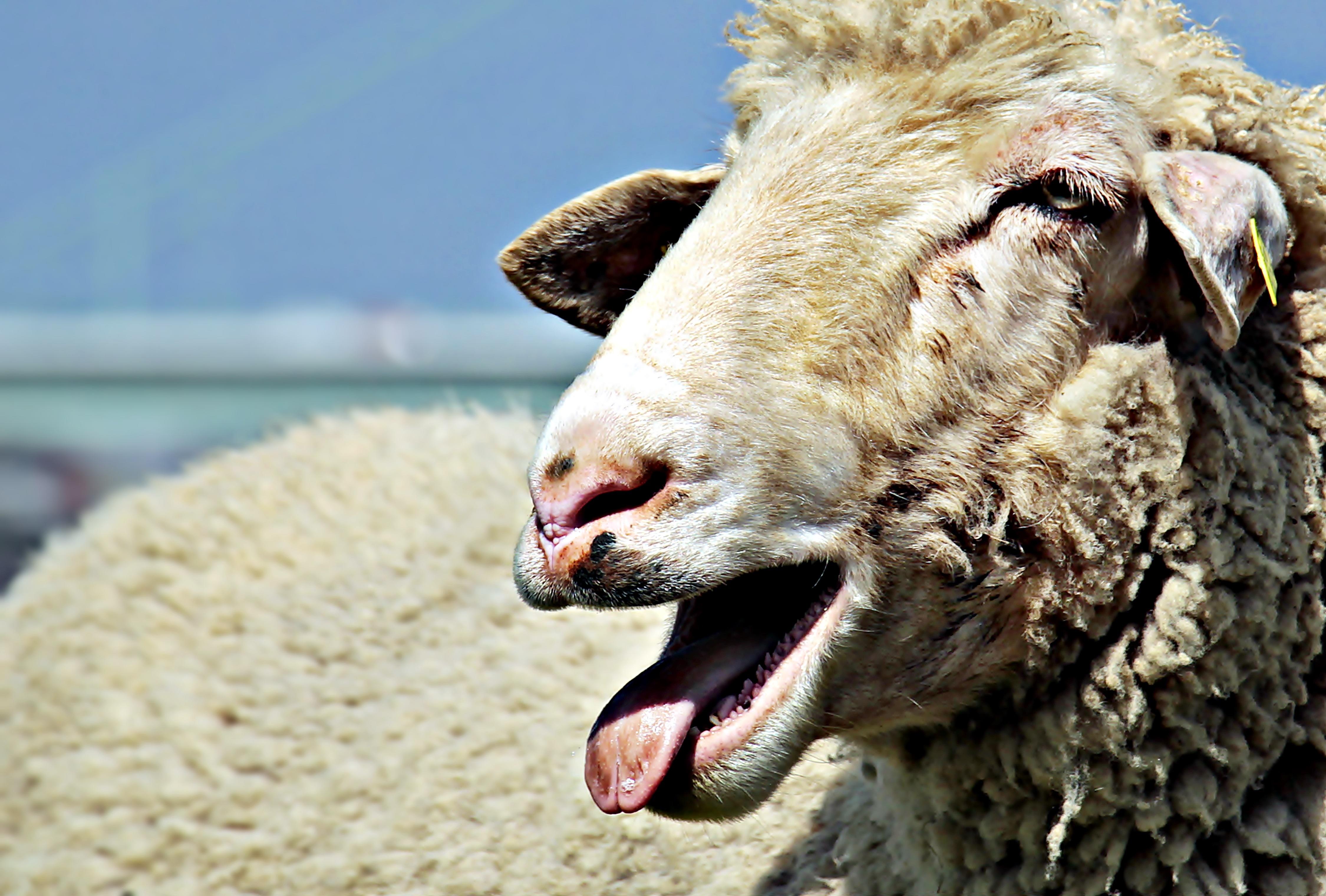 Where can you do farm work in Germany?