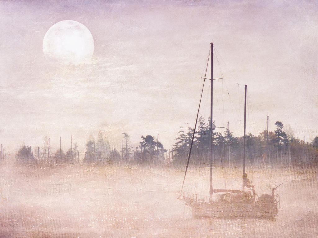 "Boot" is boat and mist is "Nebel"