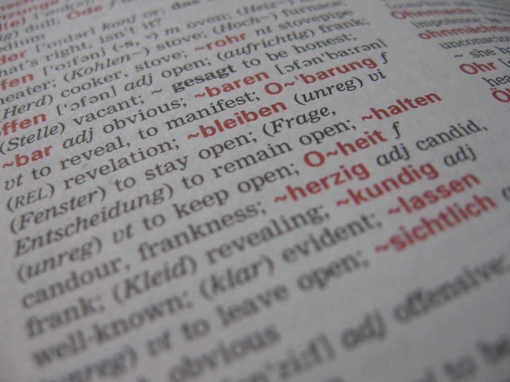 Looking up words in German regularly can expand your vocabulary fast.