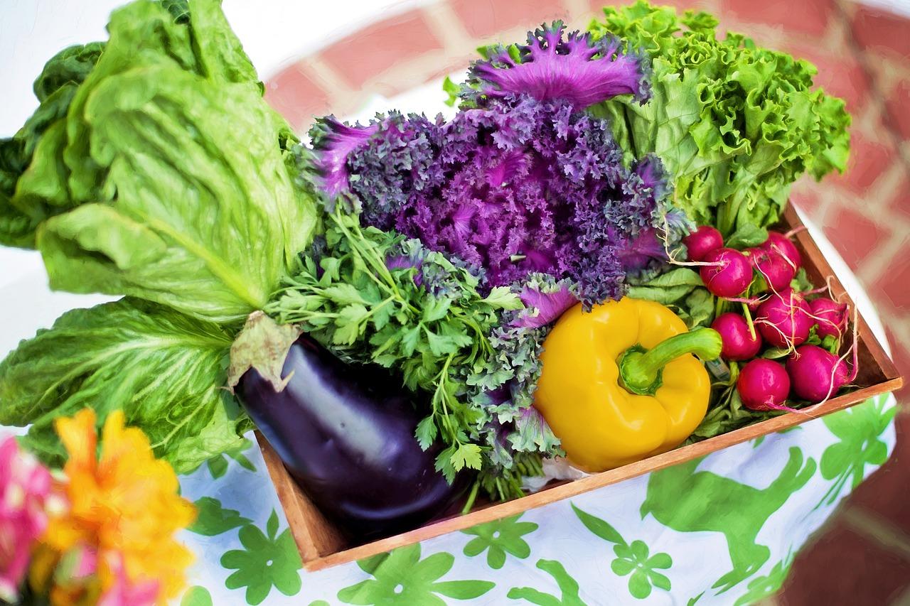 Eating the right food is critical to the success of your programme