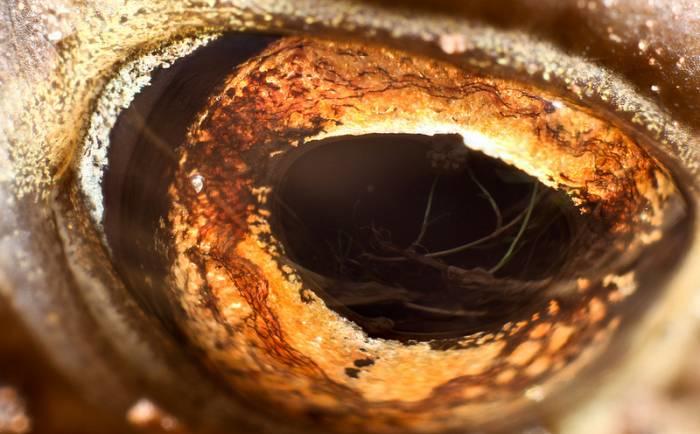 Biology is not just about the human body, but all living things on our planet.