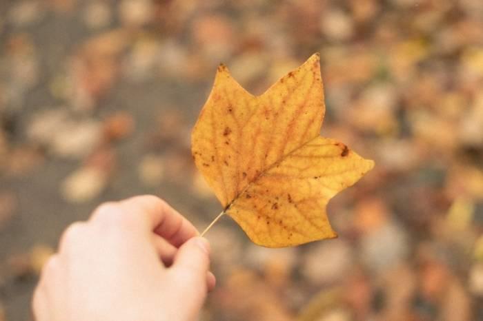 Biology allows students yo learn about the environment and how all living organisms rely on one another to grow.