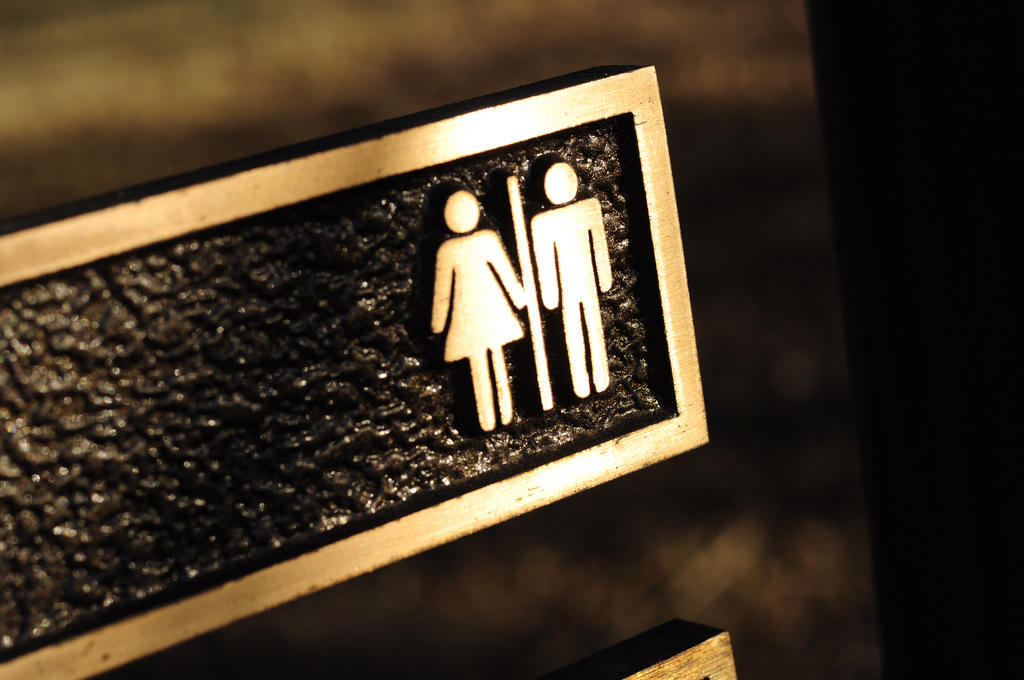 Gender in the german language