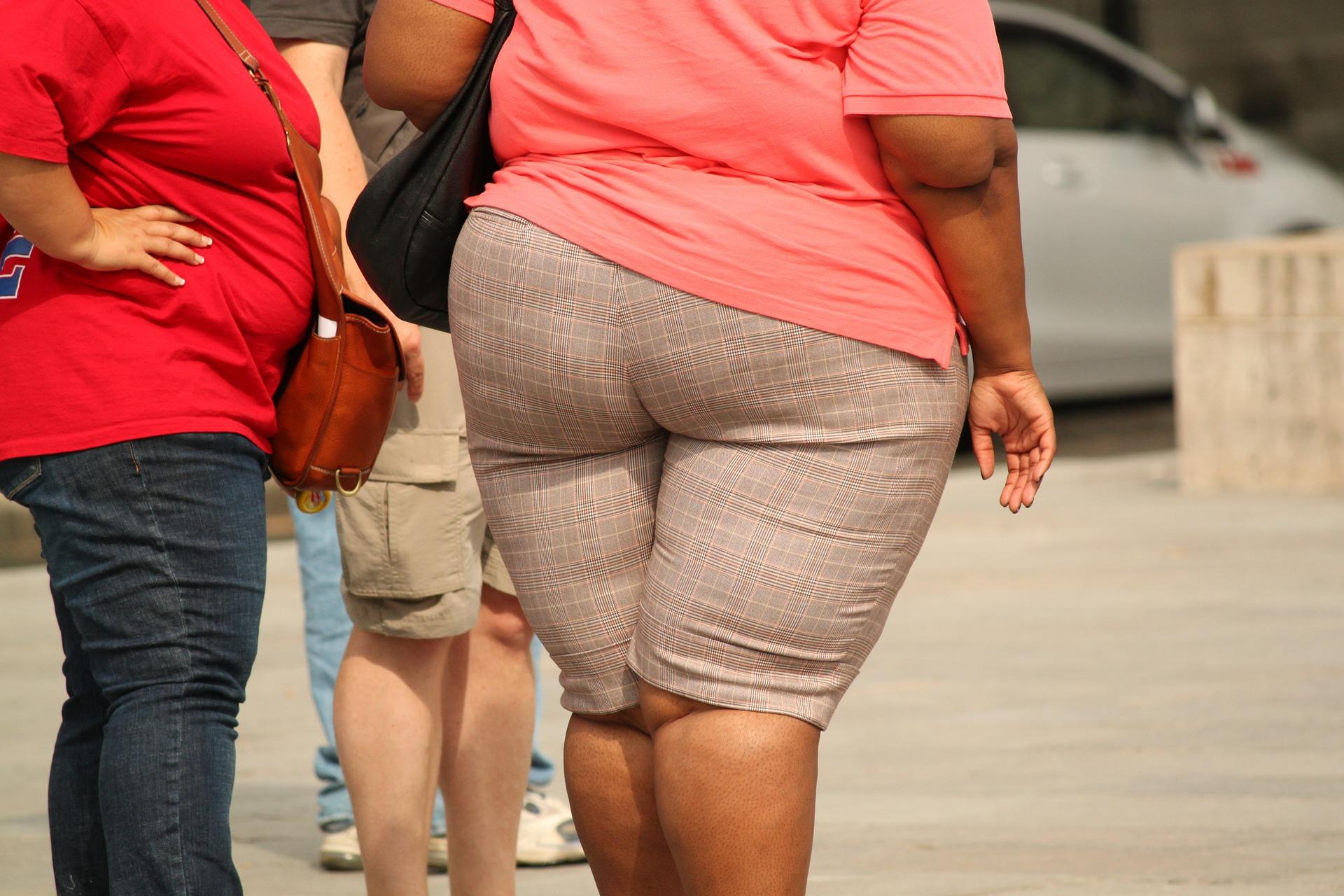 Learn how to fight obesity