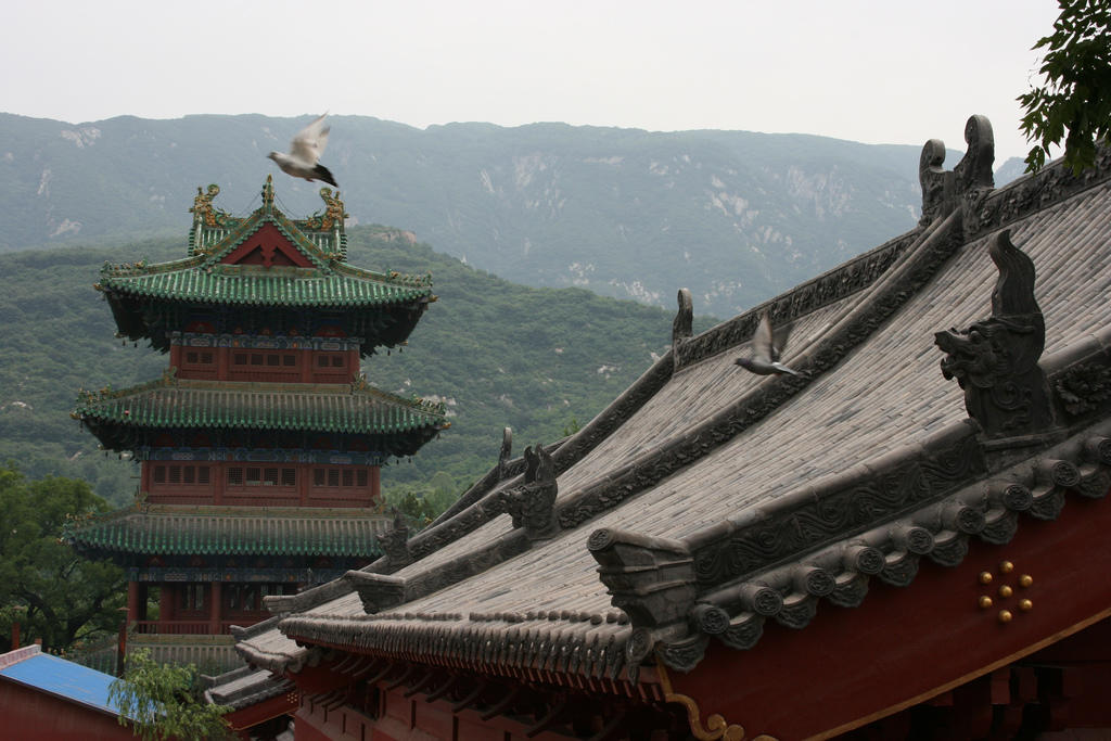 Get to know the places and the culture of China by learning Chinese