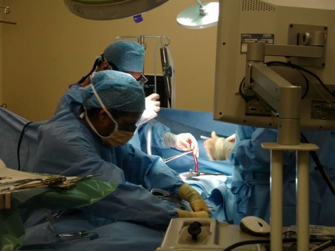 Bio-Art take things to the extremes with some artists undergoing surgical procedures to create what they consider to be pieces of art.