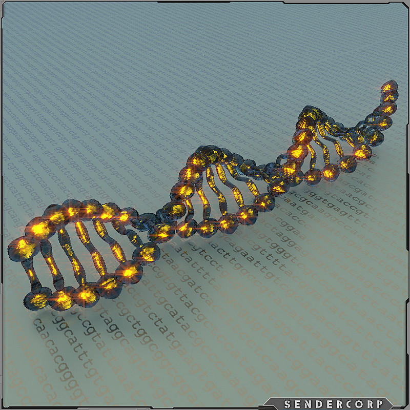DNA plays a big part on who we become and how we look.