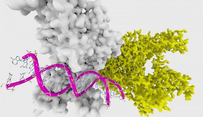 You will still be learning the same biological concepts on the reformed GCSE course.
