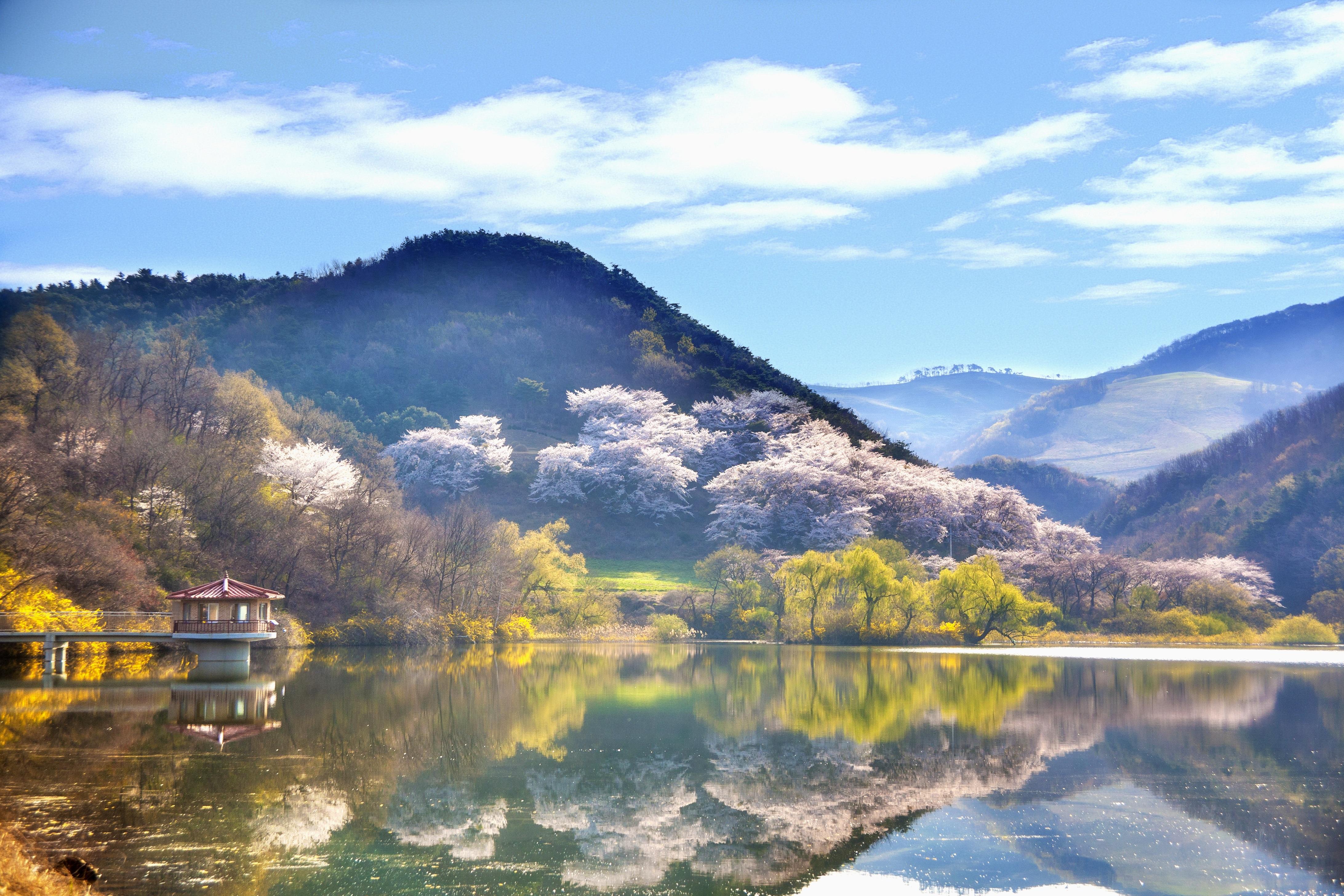 How has Chinese influenced Korean?