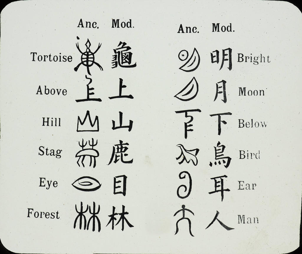 Learning Chinese history helps you learn the language.
