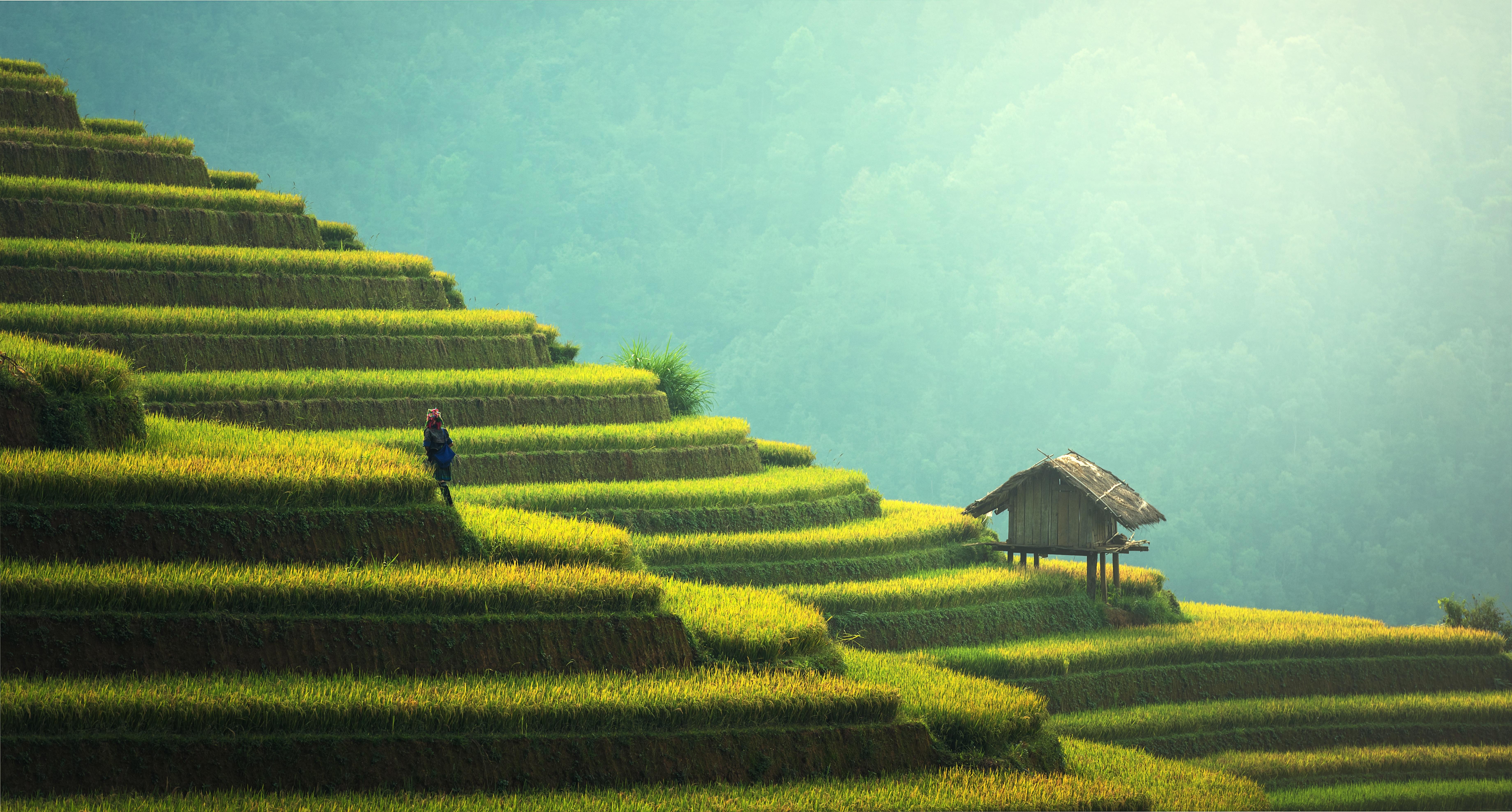 What are the best ways to learn Mandarin Chinese?